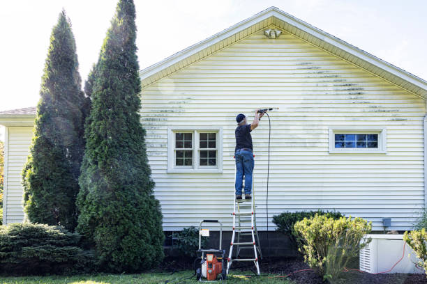 Professional Pressure Washing in Peridot, AZ