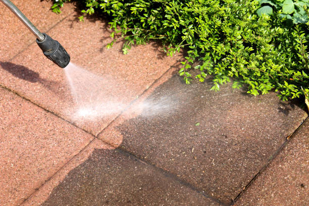 Best Affordable Pressure Washing  in Peridot, AZ